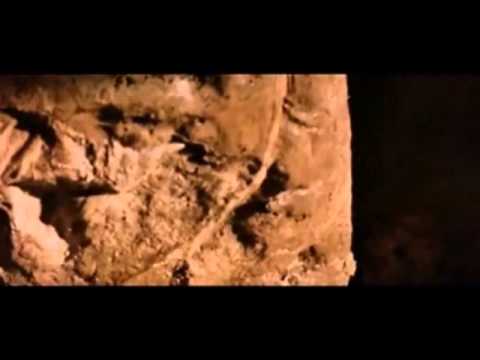 Conhecido Pelos Cravos - 14 - DEIXE-O IR