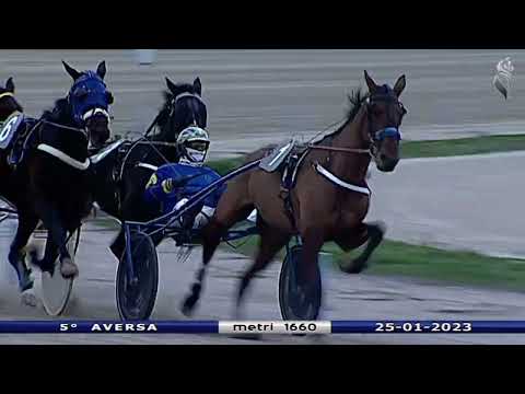 Aversa trotto 25 Gennaio 2023 - 5° Corsa
