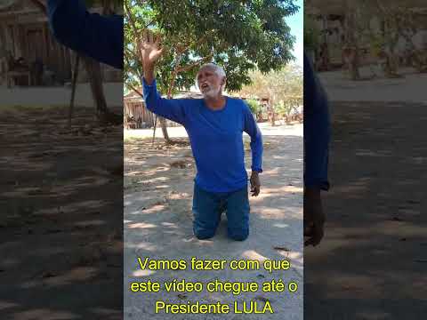 Produtores da Gleba Pelicioli de Santa Terezinha-MT, fazem apelo ao Presidente da República.