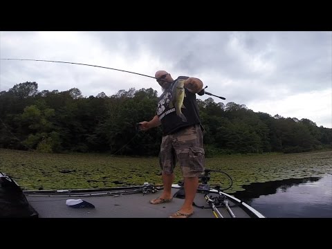 GoPro: Timothy White - Best Catch 7.15.15 - Fish
