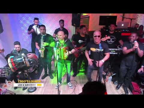 El Prodigio en Vivo : Merengue Derecho