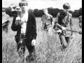 The Coral - Cobwebs