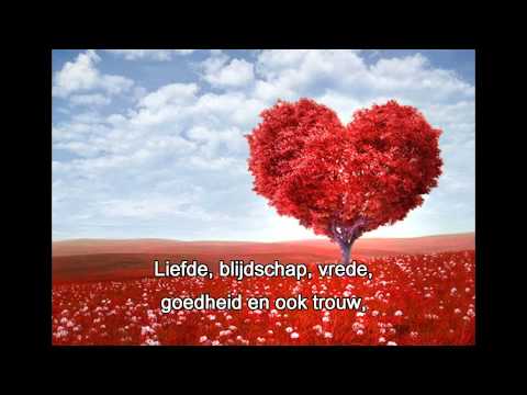 liefde blijdschap vrede