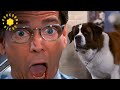 Beethoven Saves The Day FULL SCENE Beethoven