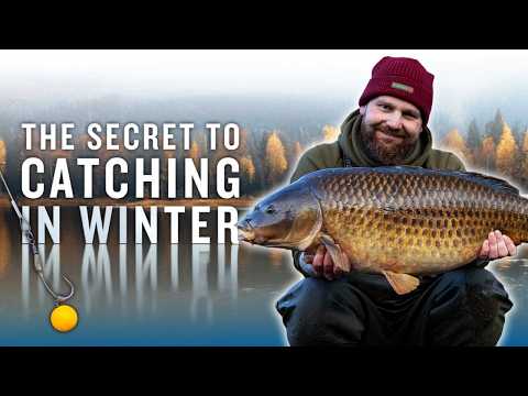 How to Catch Carp in Winter – Proven Cold Water Fishing Tactics! | John Flewin