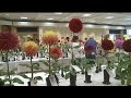 Brother Continues YSU Professor S Work To Save The Dahlia