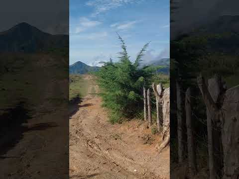 colonia tovar montañas paisajes naturaleza
