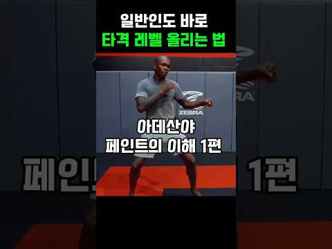 아데산야가 알려주는 잽을 이용하는 페인트