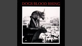 From Broken Cross, Locusts (Remixed by Andrew Liles)