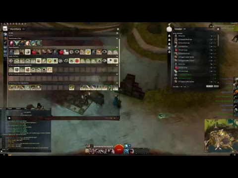 Live Stream Guild Wars 2 Hèrtz [IRIS] (Piken Square - EU) Opening 4k SilverWastes Bags - SW RIBA
