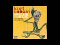 Kurt Cobain - What More Can I Say HQ 