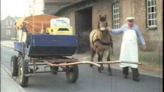 preview picture of video 'Milchmann mit Pferd & Wagen (1984) Milkman with horse & carriage Bordesholm/Brügge Super 8'