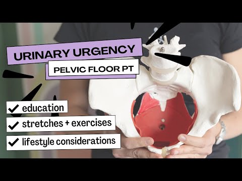 Urinary Urgency | Pelvic Floor Therapy