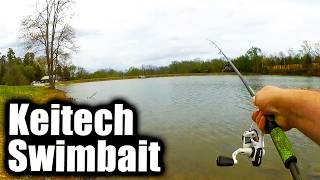 Early Spring Fishing With a Keitech Swimbait (Bank Fishing Swimbait)