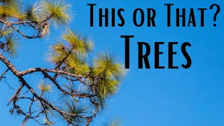 This or That? Trees!