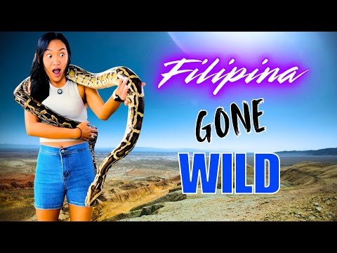 Wild Australia - The Creatures From Down Under!