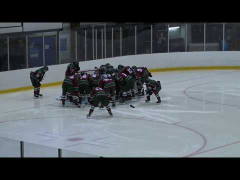 K-Kissat A- K-Vantaa A erä 1