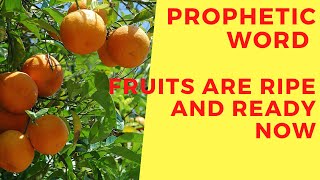 Prophetic Word | Now Step Into Your Calling For The Harvest is Ripe and Ready | Answer your Calling
