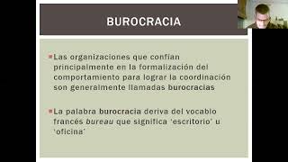 Burocracia profesional