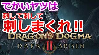 PC 「#05」 DLC 「流し暗殺EX」 なかなかイイね！『ドラゴンズドグマ2：ダークアリズン』