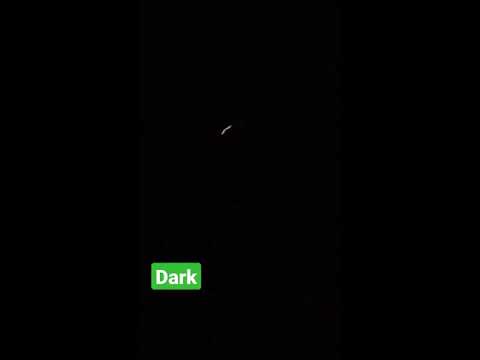 dark bark