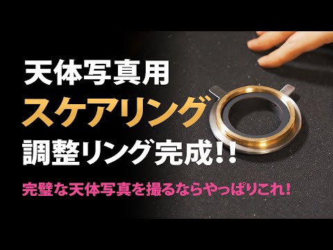 生垣の枯れた低木を交換する 枯れかけた生垣を更新する トゥジャス月桂樹 ブリキの月桂樹