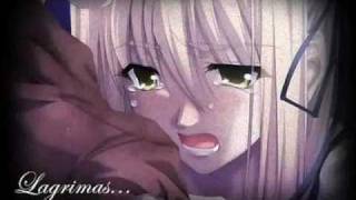 date por aludida porta