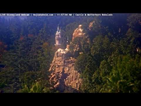 Live webcam of Disneyland Cam