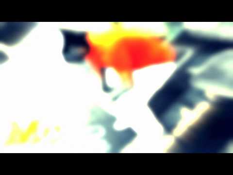 Mc Furkan ft  Slower Emre   Tutamadim 2011