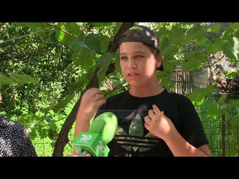 Ndotja dhe nafta që i sëmur, rrëfimi i banorëve të Patos-Marinzës - Top Channel Albania