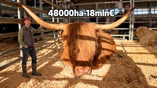 2026 Autumn#11 Kur dingo 18mln euru?