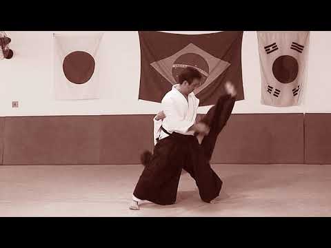Aikido - Aiki Otoshi