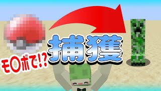 モンスターを捕まえるぞ！データパック開発日記【でんでん】