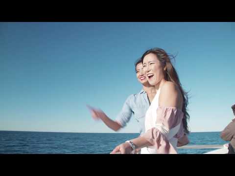 Thumbnail for Whale Watching with Captain Cook Cruises