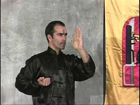 William Cheung - Wing Chun Kung Fu Vol. 1 | Martial Art | Self Defense