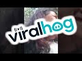 The Fall Of Hector || ViralHog