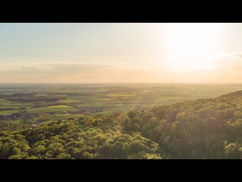 BAYSF - Baumwipfelpfad Steigerwald