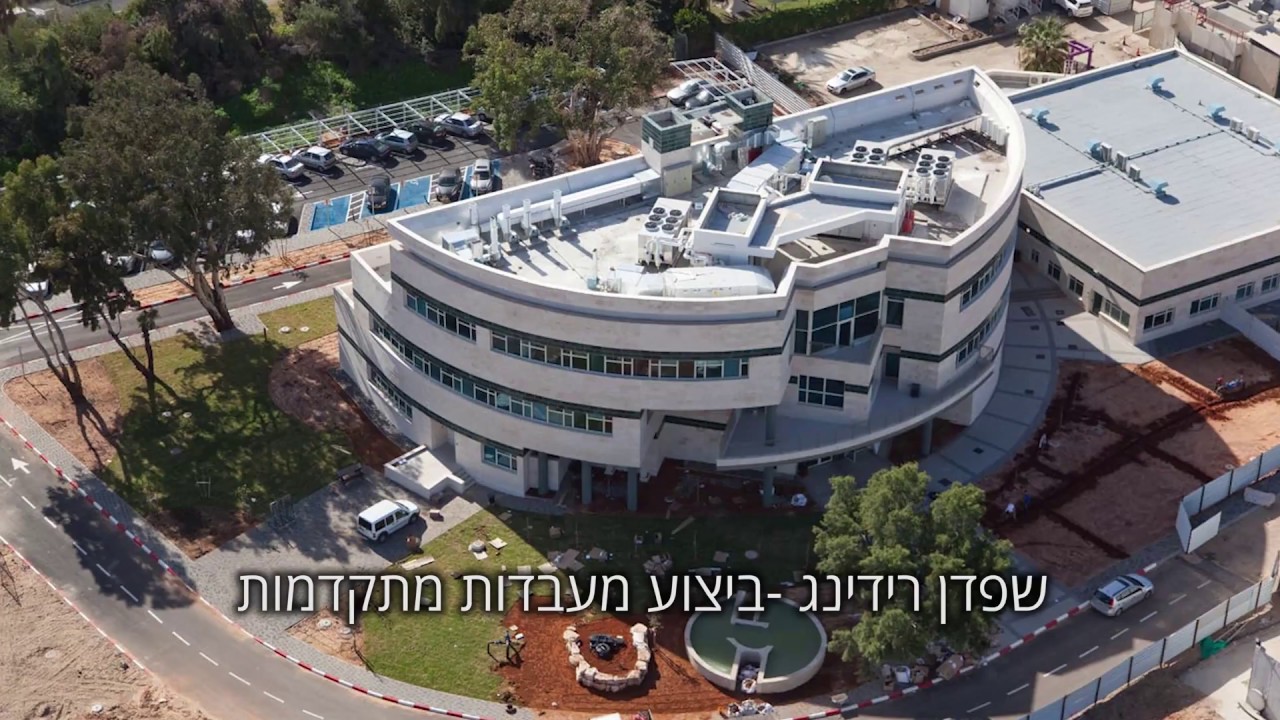 נתי גולד וידאו
