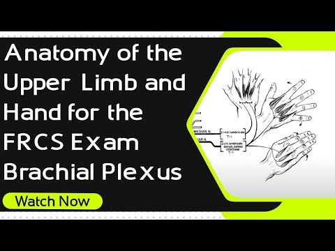 Complex Upper Limb Anatomy