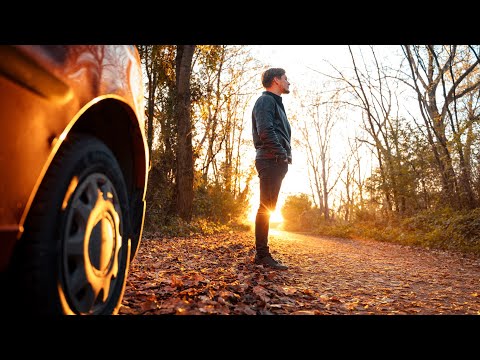 DOMINIK SOUHRADA - FOREST RUN