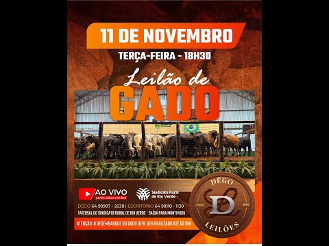 LEILAO DE GADO  11 - 11 - 2025 - Sindicato Rural de Rio Verde - Dêgo Leilões
