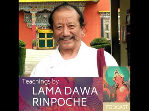 Calling The Lama From Afar part 1