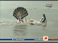 Vishnu Bhagwan Video