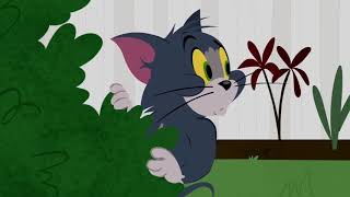 The Tom and Jerry Show - Say Cheese - Funny animal