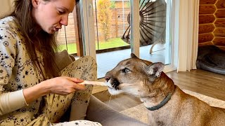 Реакция Месси на его любимые «вкусняшки»! Откуда пума знает как правильно ес