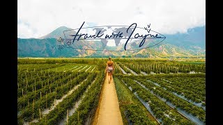 TravelwithJayne | Five weeks of Indonesia, the after movie!