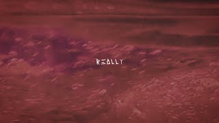 Really Music Video
