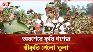 কৃষি পণ্য হিসেবে তুলা কে স্বীকৃতি