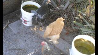 Easy Does it by Hot Apple Pie