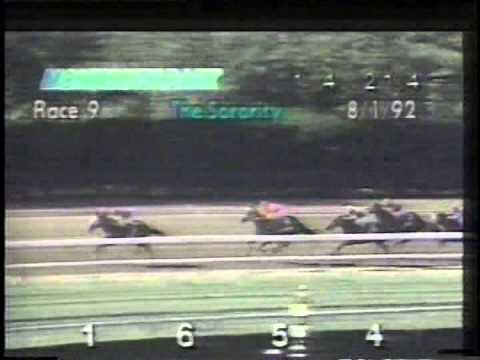 1992 Sorority S. -- Hollywood Wildcat